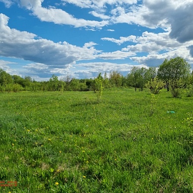 Красное Село г., Красногородская ул.