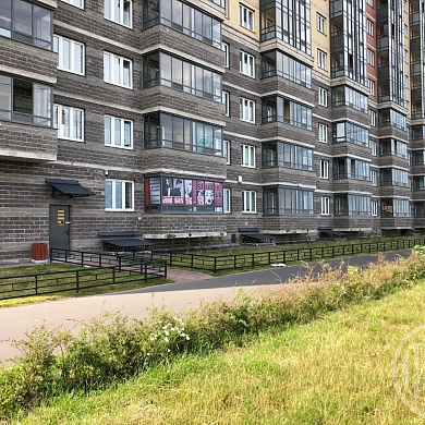 Парголово пос., Толубеевский пр-зд, 24