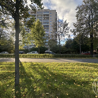 Пискаревский просп., 12