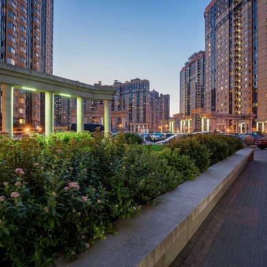 Парголово пос., Толубеевский пр-зд, 34