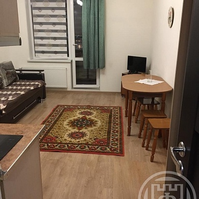 Ветеранов просп., 169