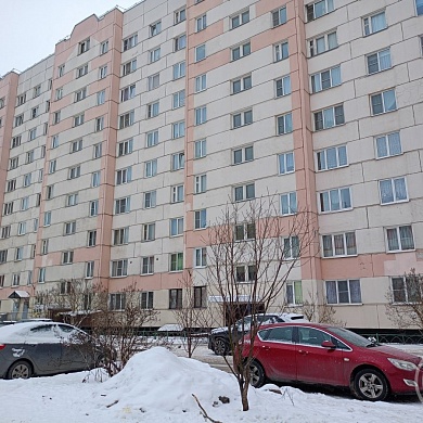 Шушары пос., Ленсоветовский тер., 29