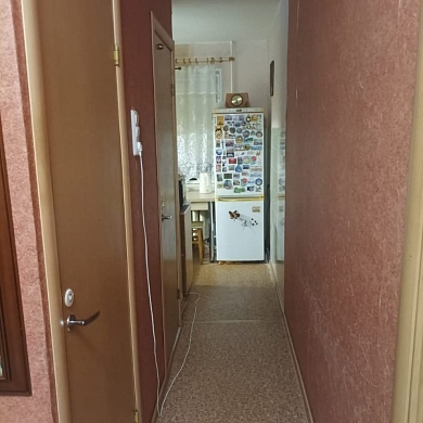 Ломоносов г., Петровский пер., 4