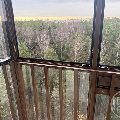 Ломоносов г., Михайловская ул., 51