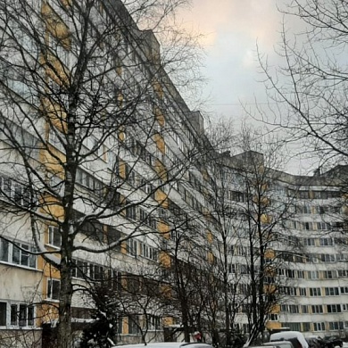 Кустодиева ул., 20
