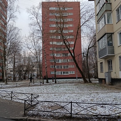 Светлановский просп., 56