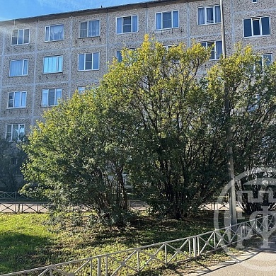 Сестрорецк г., Борисова ул., 8