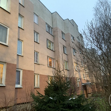 Пушкин г., Ленинградская ул., 87