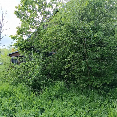 Красное Село г., Красных Командиров просп.