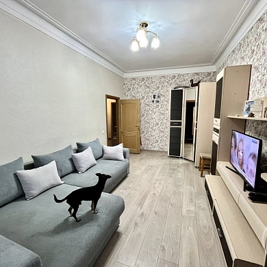 Ломоносов г., Михайловская ул., 24/22