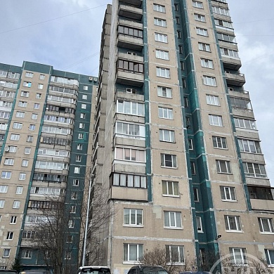 Богатырский просп., 33