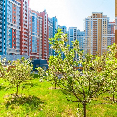 Просвещения просп., 43