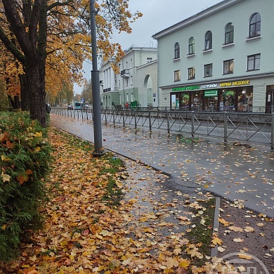 Зеленогорск г., Ленина пр., 21