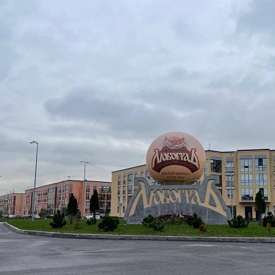 Стрельна г., Буденного пр., 24