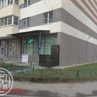 Шушары пос., Новгородский просп., 6