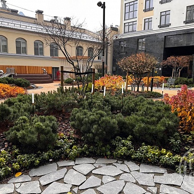 Бакунина просп., 33