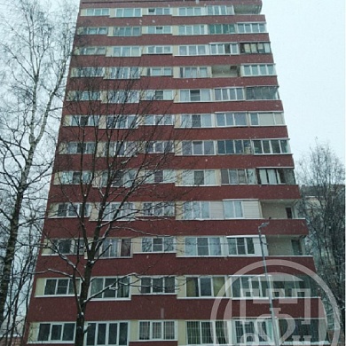 Луначарского пр., 96