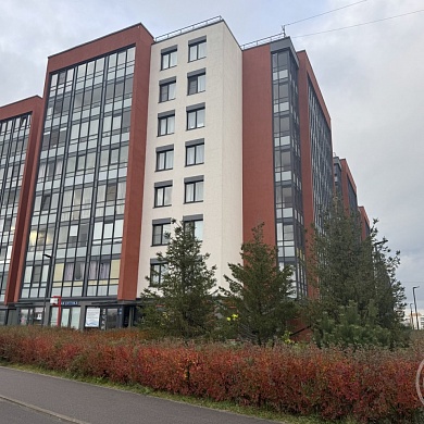 Буденного просп., 19