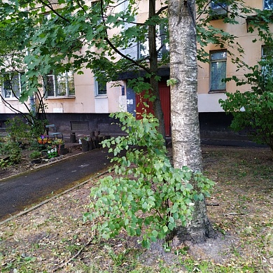 Костюшко ул., 70