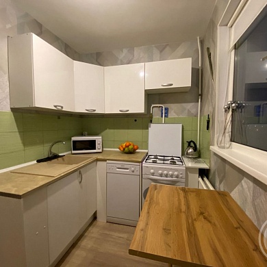 Сестрорецк г., Дубковское шос., 17