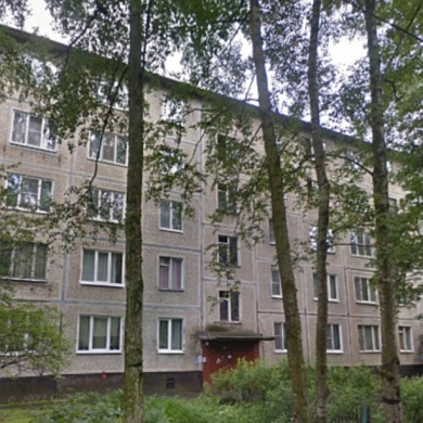 Большевиков просп., 61
