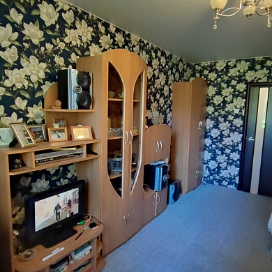 Пискарёвский просп., 17