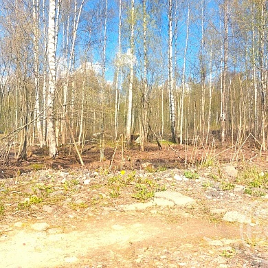 Парголово пос., Вокзальное шос.