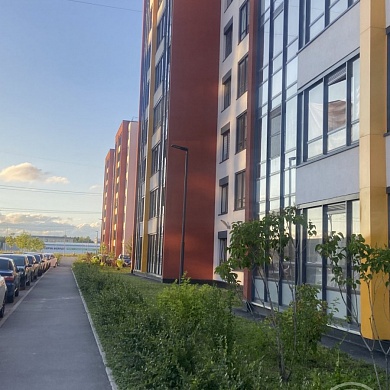 Буденного просп., 23