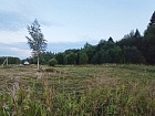 Тресковицы дер.