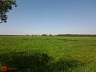 Старая дер., Колтушское шос.