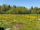 Кирково дер., 3