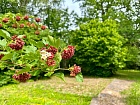 Поддубье (Оредежское с/п) дер., Теннисная ул., 15