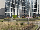 Белоостровская ул., 10