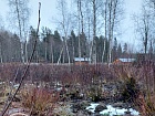 Горы пос.