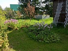 Трубников Бор массив, Электрик снт