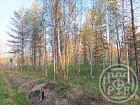 Правдино пос.