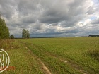 Курковицы дер.