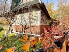 Мшинская массив