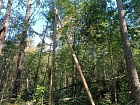 Ларионово пос.