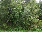 Заплотье дер.