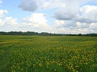 Синицыно пос.