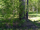 Усэлло снт, 6