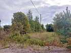 Борки пос.