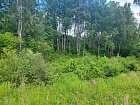 Кирполье дер., 32