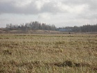 Путилово село