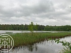 Ханнила снт.