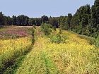 Муховицы дер.