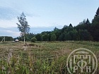Тресковицы дер.