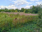 Приветнинское пос.