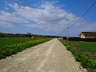 Греблово дер.